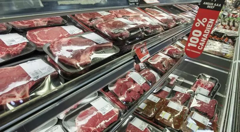 農民愁對乾旱和飼料價高企 牛肉價格料不久後上漲  